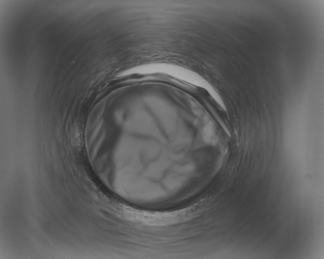 X0000080790039200701051405
