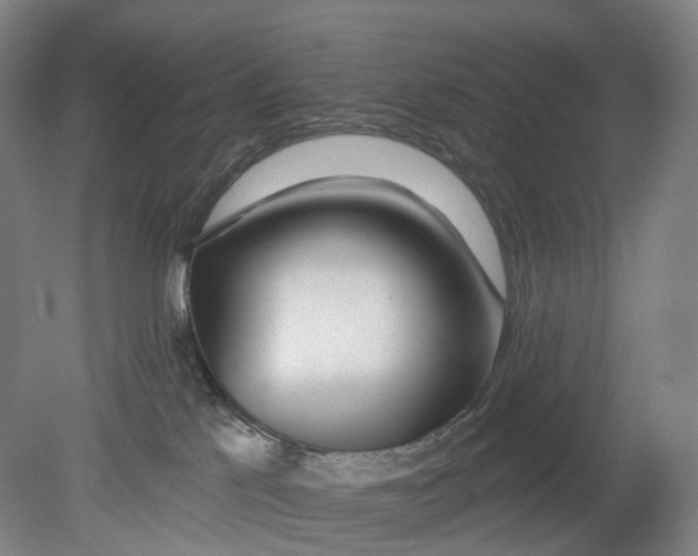 X0000080790041200701051405