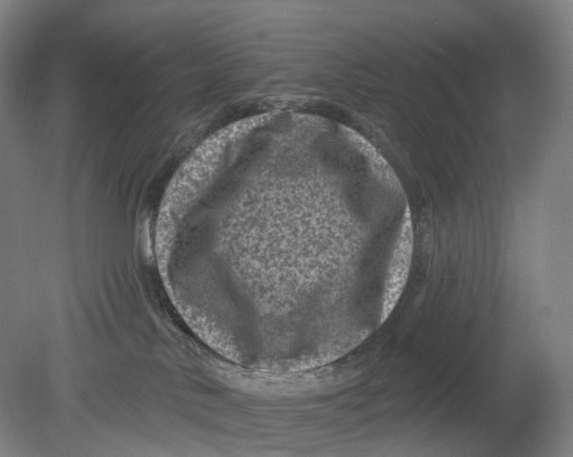 X0000080790042200701051405