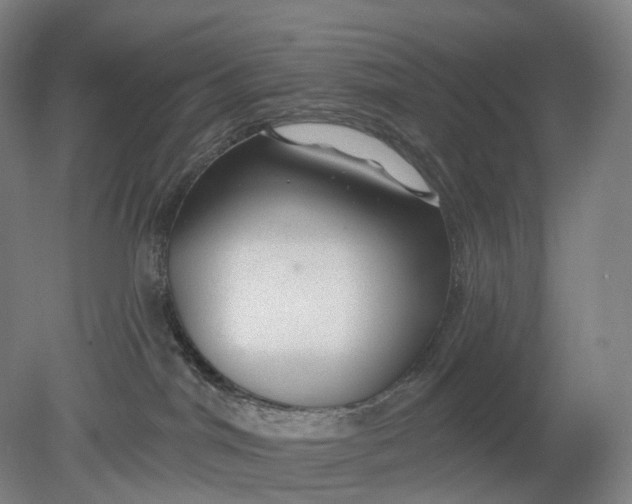 X0000080790044200701051405