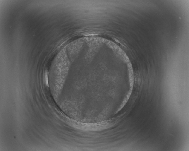 X0000080790046200701051405