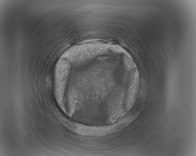 X0000080790048200701051405