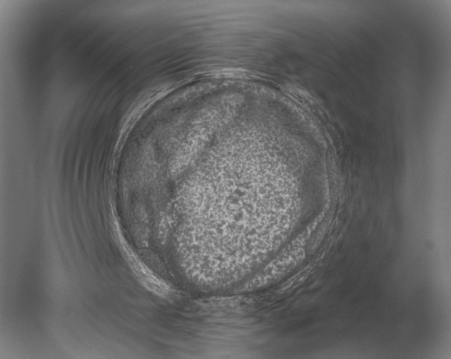 X0000080790049200701051404