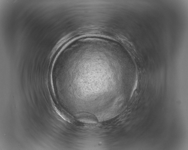 X0000080790051200701051404