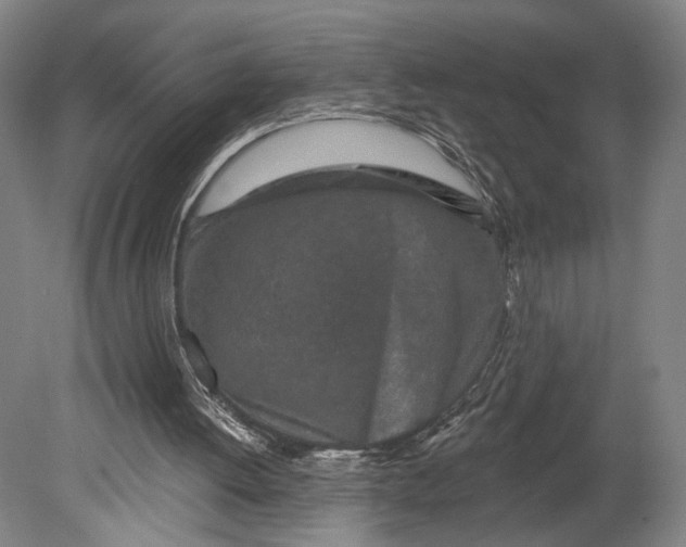 X0000080790052200701051404