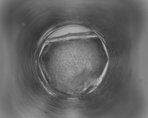X0000080790053200701051404