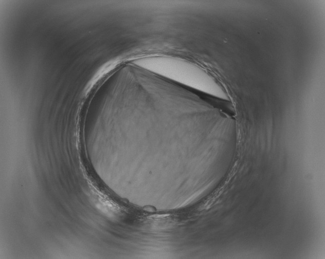 X0000080790054200701051404