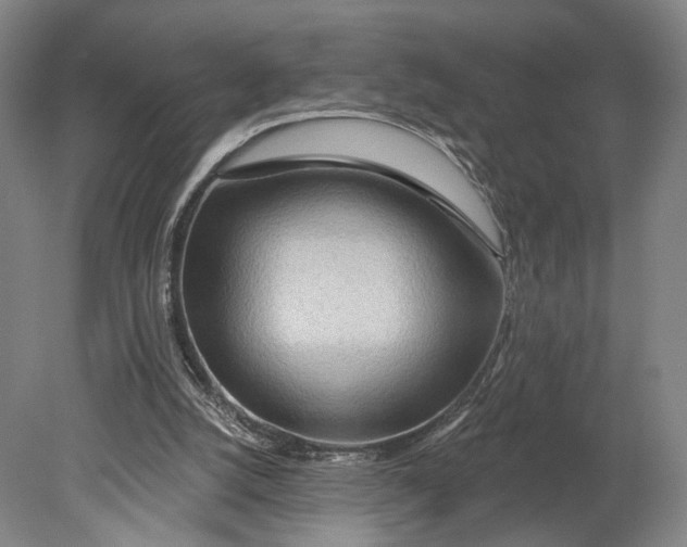 X0000080790056200701051404