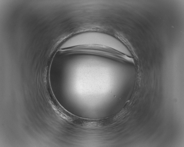 X0000080790058200701051404
