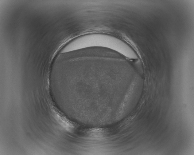 X0000080790059200701051404