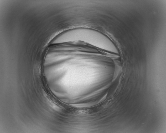 X0000080790060200701051404