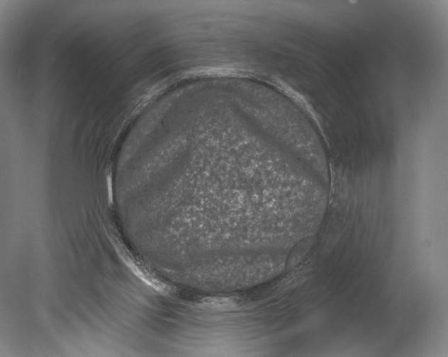 X0000080790061200701051404