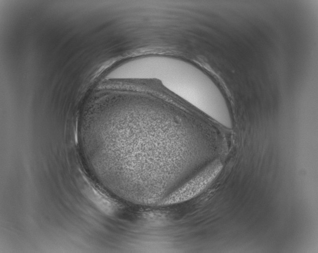 X0000080790062200701051404