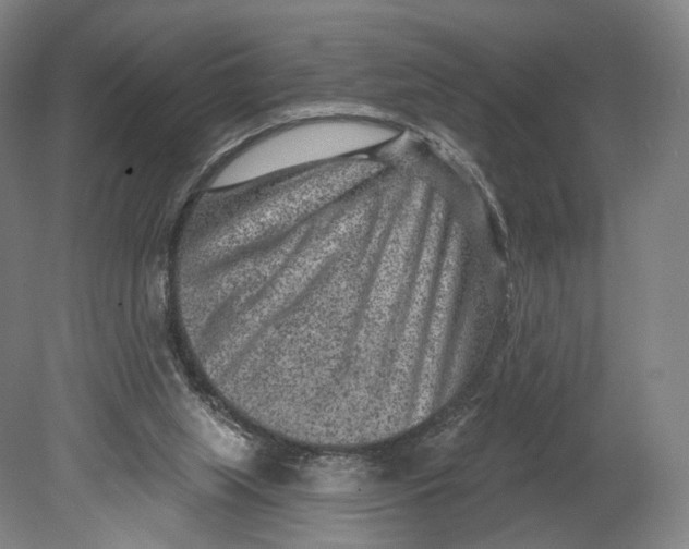 X0000080790063200701051404