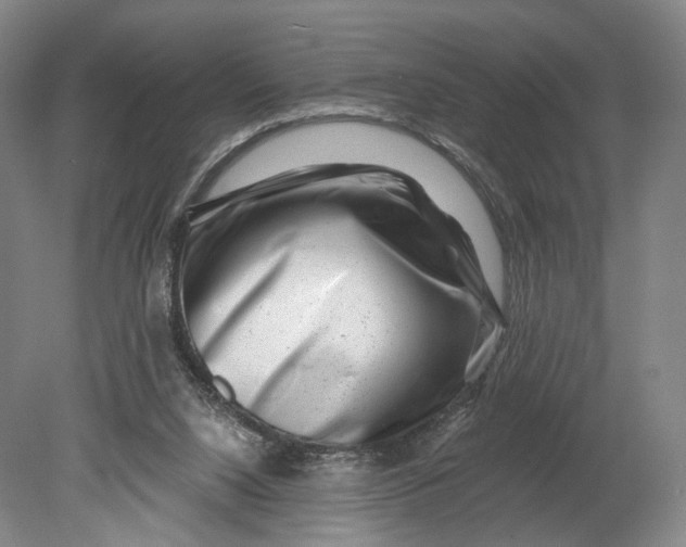 X0000080790064200701051404