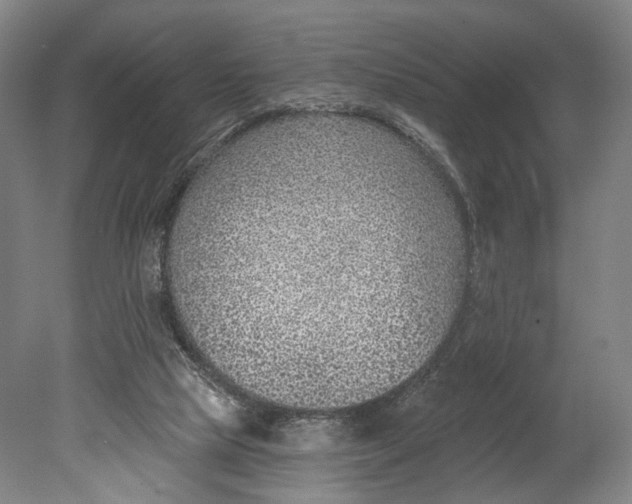 X0000080790065200701051404