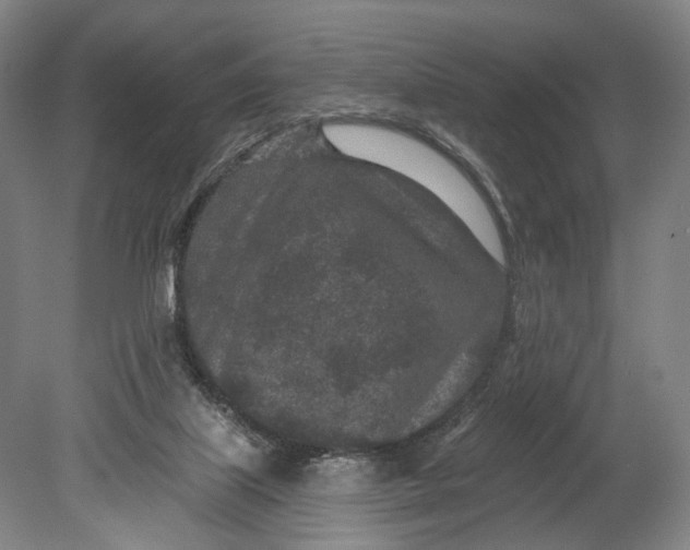 X0000080790067200701051404