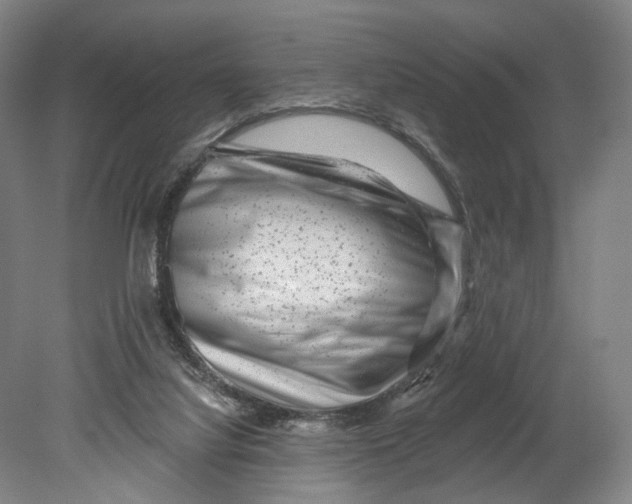 X0000080790068200701051404
