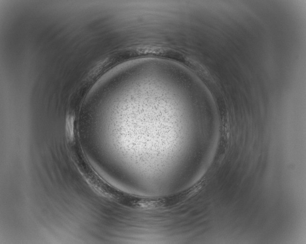 X0000080790070200701051404
