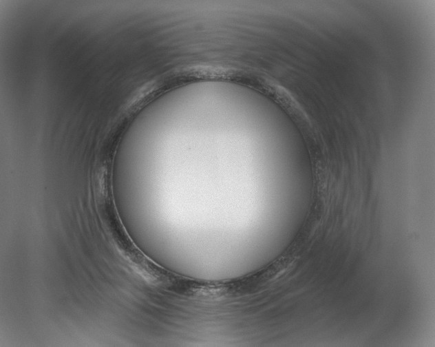 X0000080790071200701051404