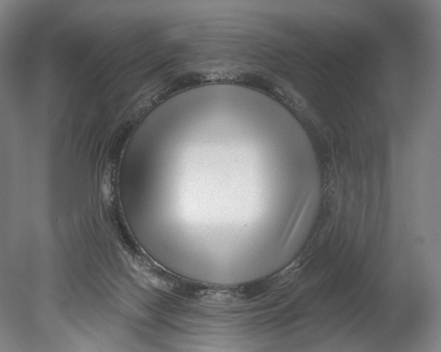 X0000080790074200701051404