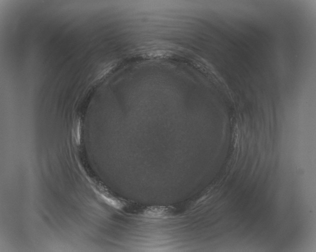 X0000080790076200701051404