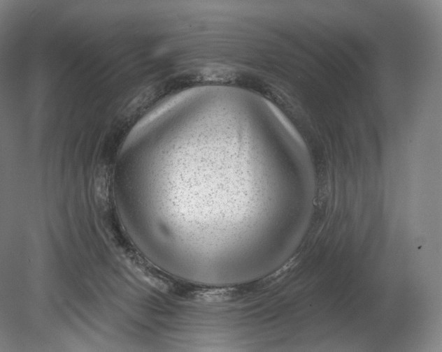 X0000080790078200701051404