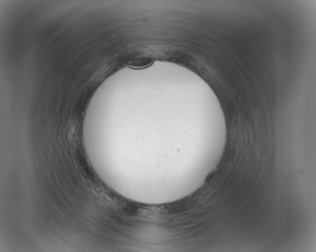 X0000080790079200701051404