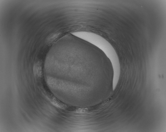 X0000080790080200701051404