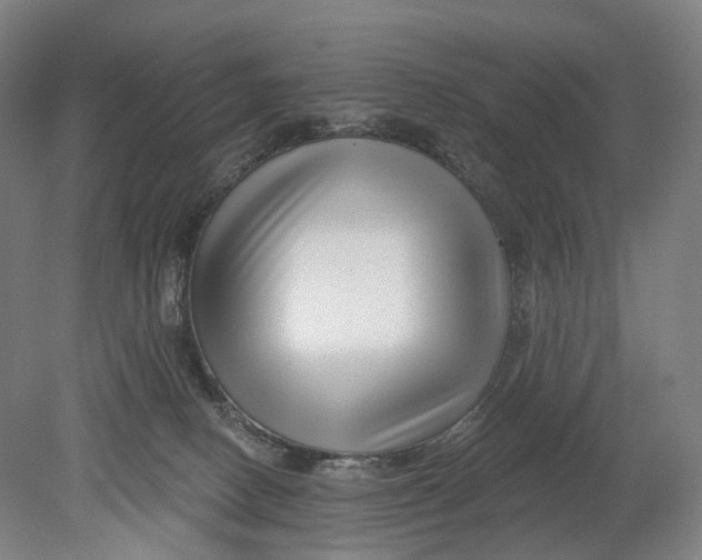 X0000080790082200701051404