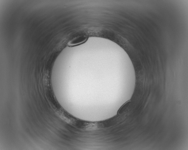 X0000080790083200701051404