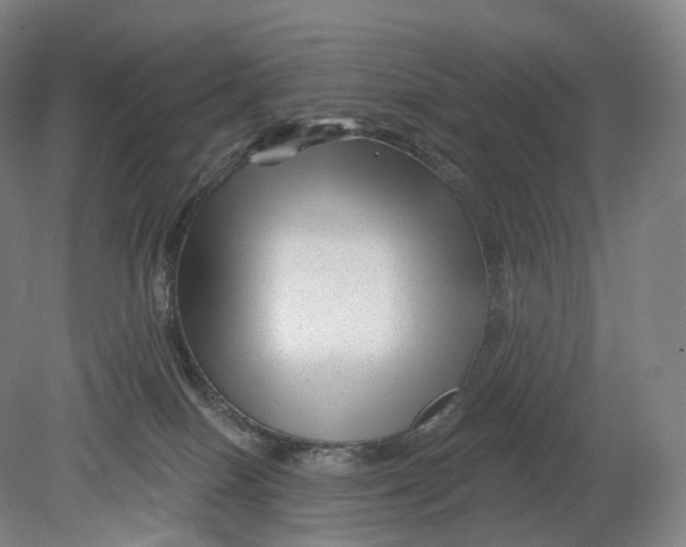 X0000080790086200701051404