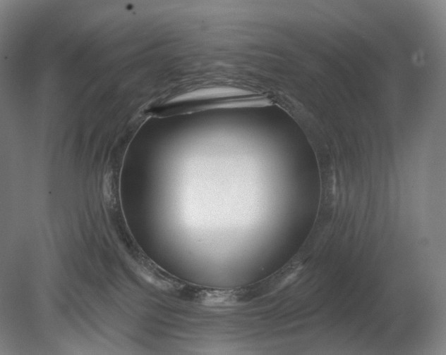 X0000080790088200701051405