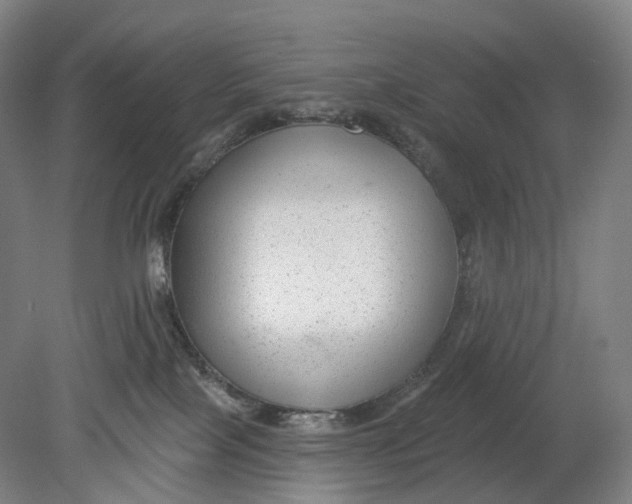 X0000080790089200701051405