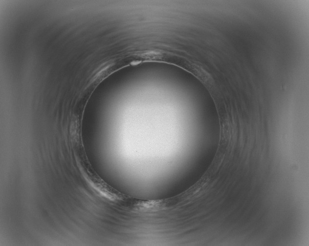 X0000080790092200701051405