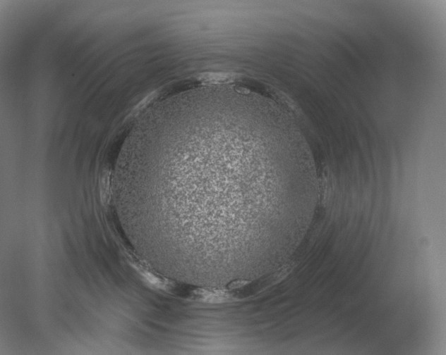 X0000080790093200701051405