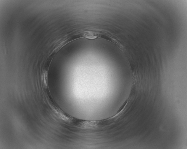 X0000080790094200701051405