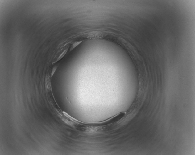 X0000080790096200701051405