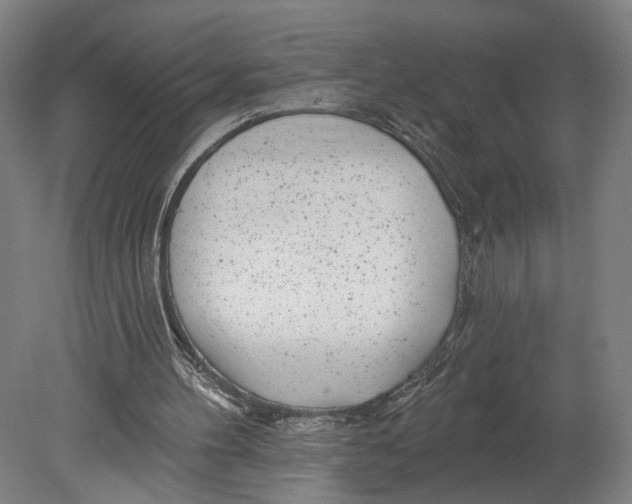 X0000080790100200701051404
