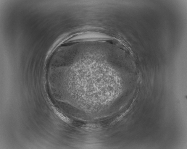 X0000080790101200701051404