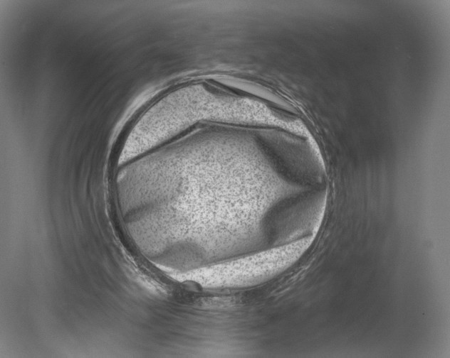 X0000080790102200701051404