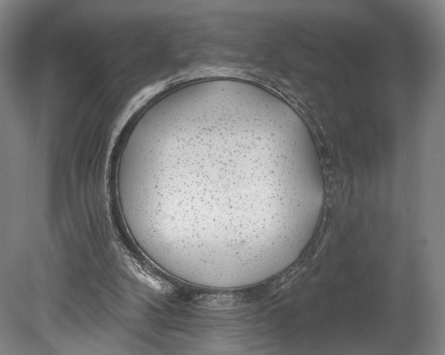 X0000080790104200701051404