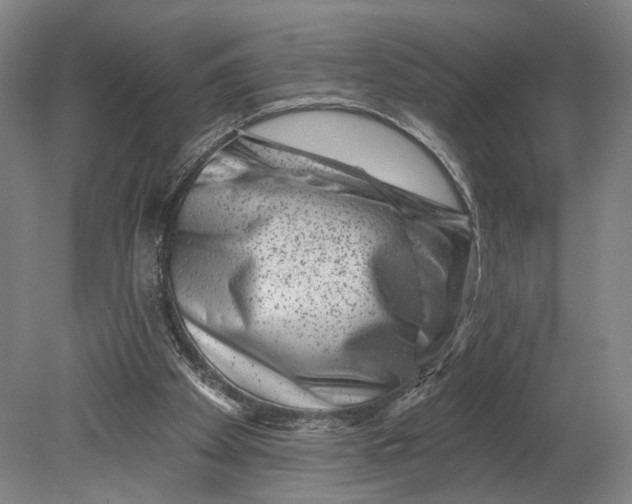 X0000080790105200701051404