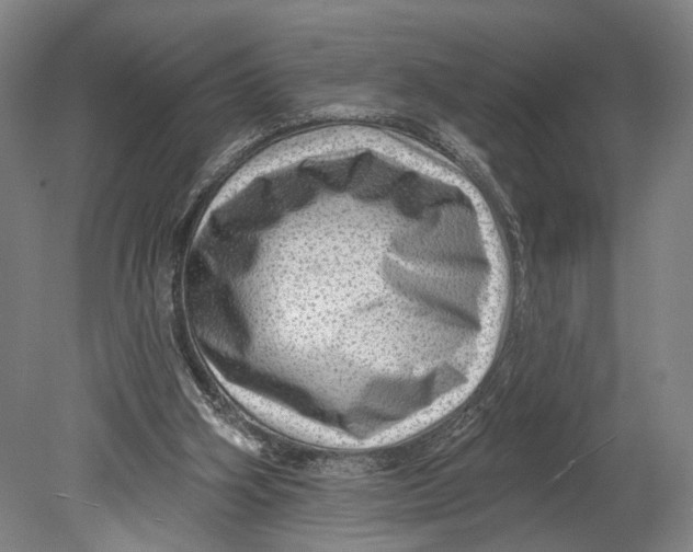 X0000080790106200701051404