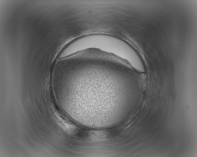 X0000080790107200701051404