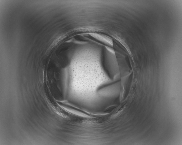 X0000080790109200701051404
