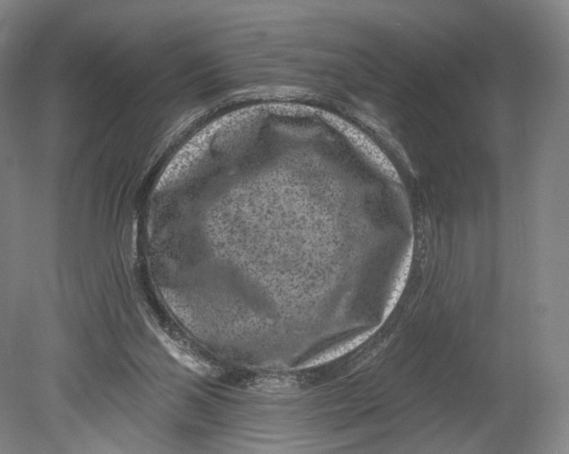 X0000080790110200701051404
