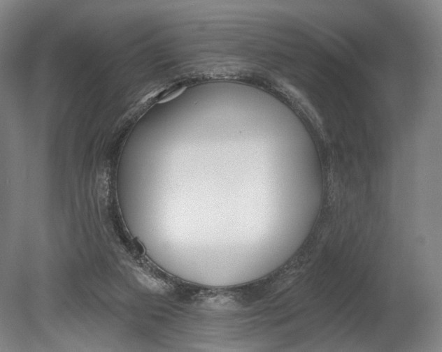 X0000080790113200701051404