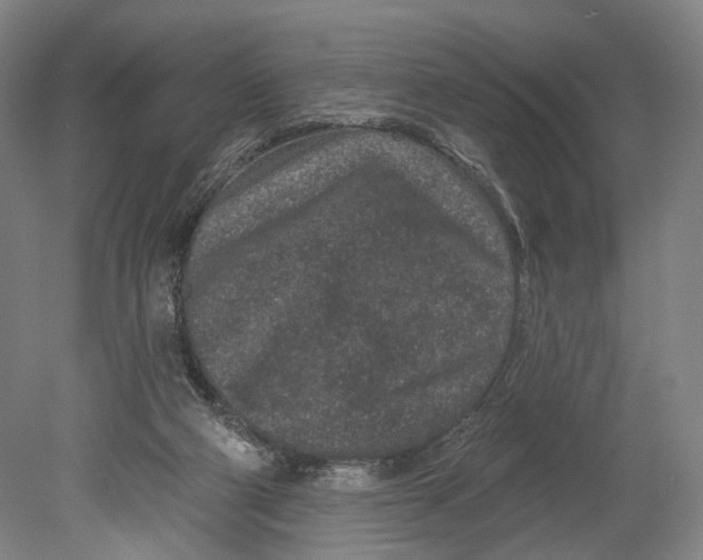 X0000080790114200701051404