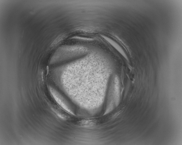 X0000080790117200701051404